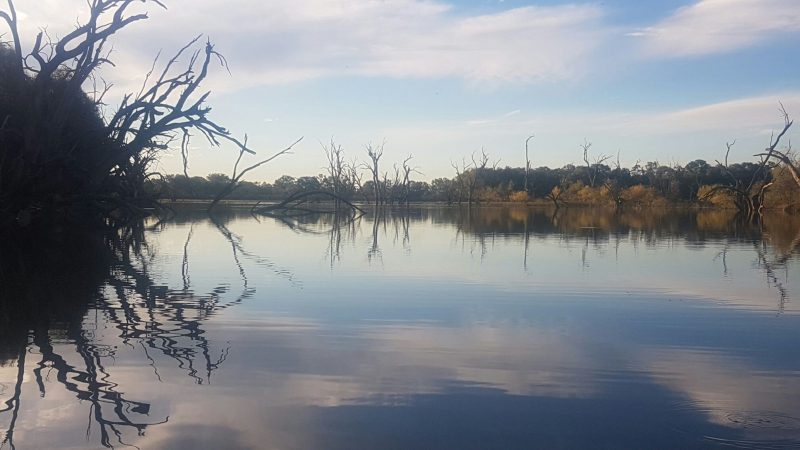 menindee lakes
