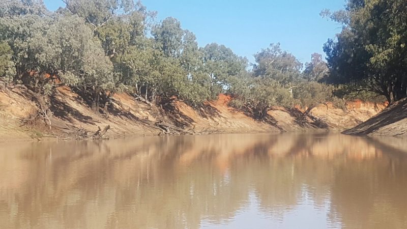 Red banks Darling River