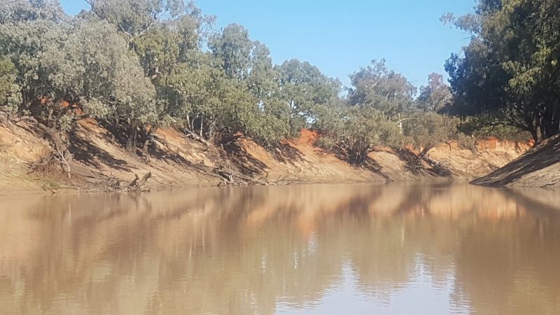 Red banks Darling River